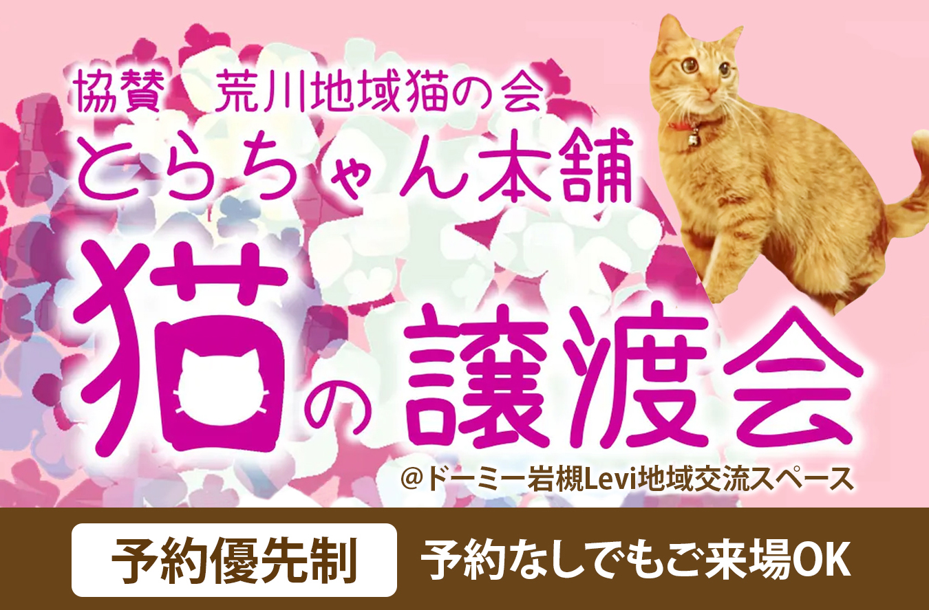 2023年7月23日(日)「保護猫譲渡会＠ドーミー岩槻Levi地域交流スペース」開催