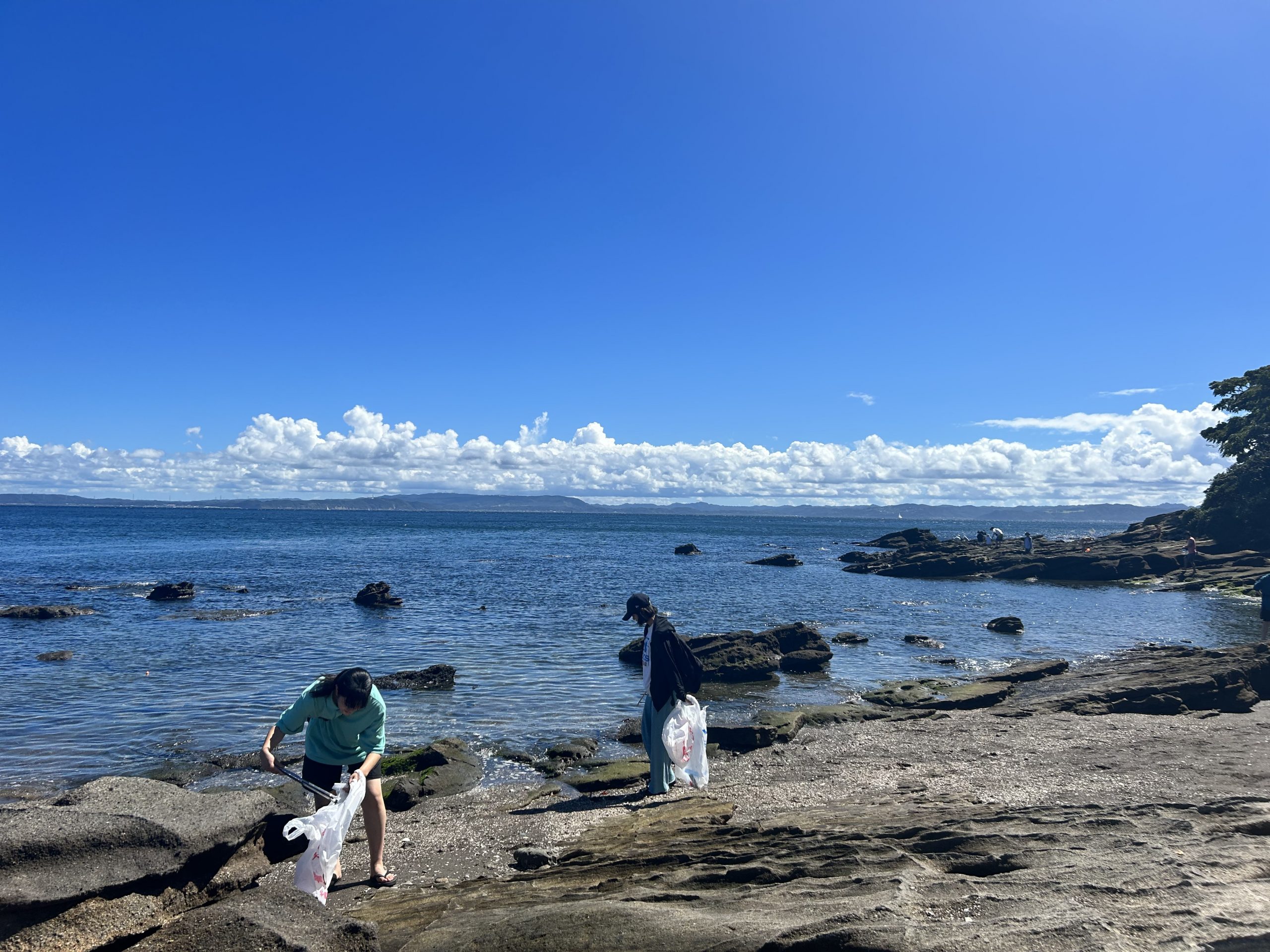 共立メンテナンス「観音崎海岸ビーチクリーン」を実施　－学生会館Dormyに入居されている寮生様が参加しました！－