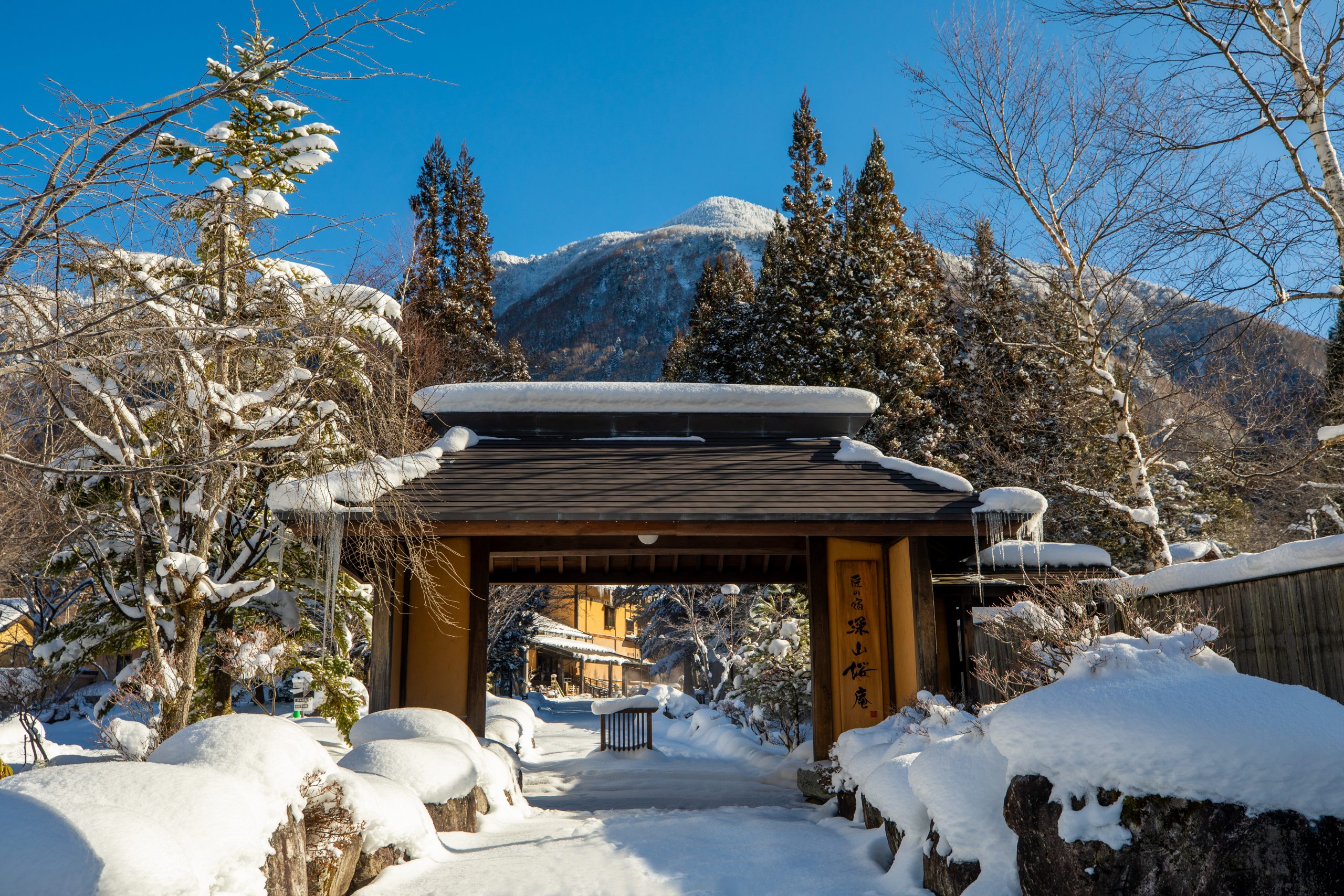 【テレビ】1月14日(日)12:00～ 東海テレビ『タイチサン！』にて、『匠の宿 深山桜庵』が紹介されました。