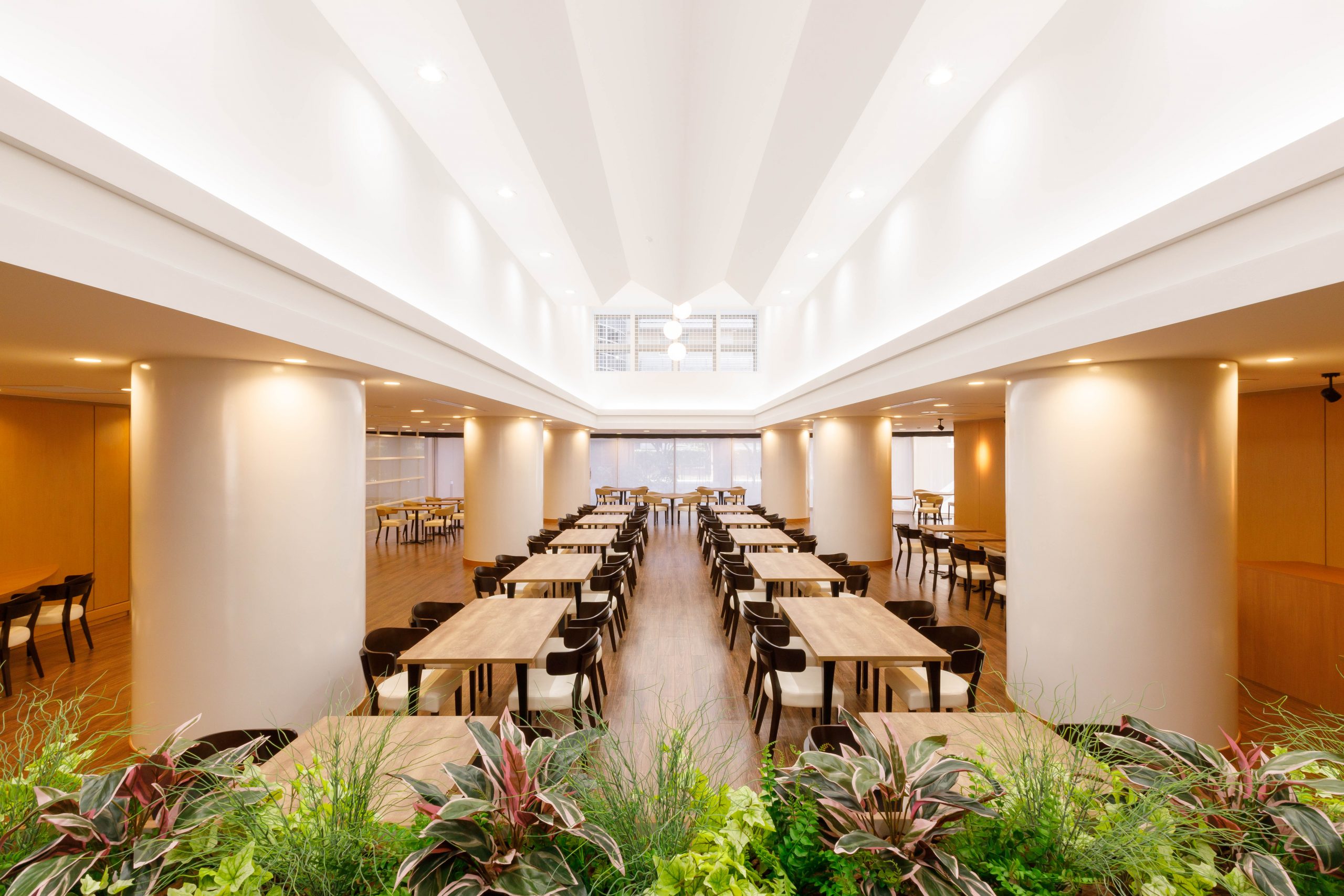 【テレビ】3月12日(水)10:25～ TBSテレビ『ひるおび』にて『ドーミー世田谷等々力』が紹介されました。