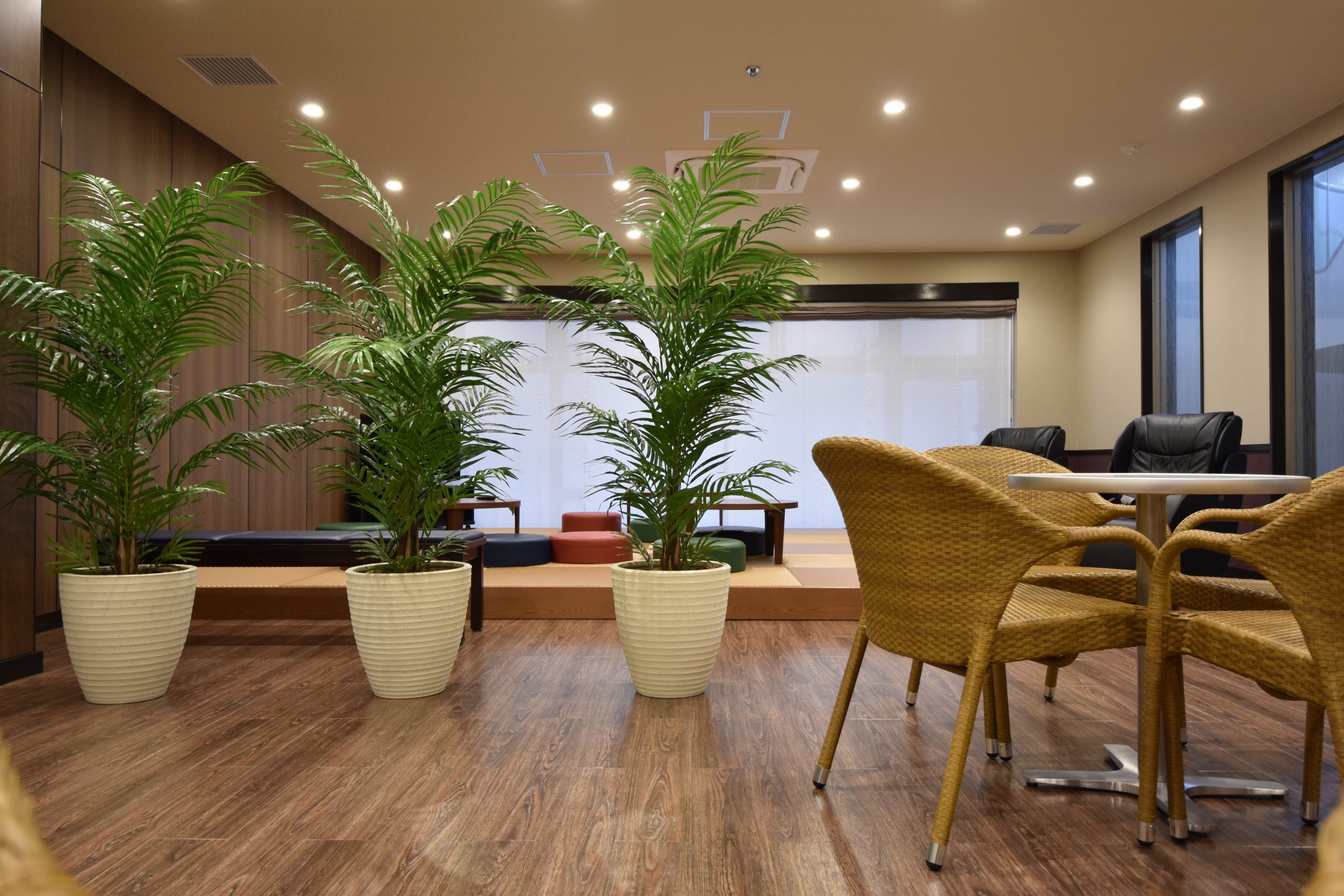 【テレビ】5月13日(火)15:49～ TBSテレビ『Nスタ』にて『ドーミー世田谷等々力』が紹介されました。