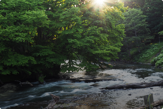 サスティナビリティマネジメントImg